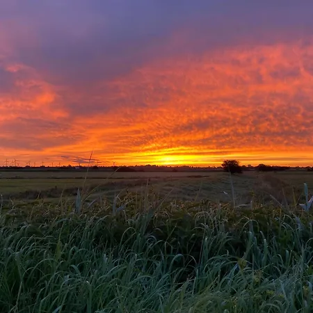 Tante Elses - Ruhe & Erholung Zwischen Den Meeren - Gemuetliche & Stilvolle Ausstattung Casa vacanze Suderhoft