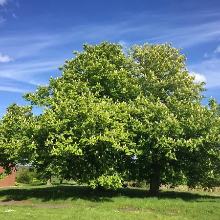 Tante Elses - Ruhe & Erholung Zwischen Den Meeren - Gemuetliche & Stilvolle Ausstattung *